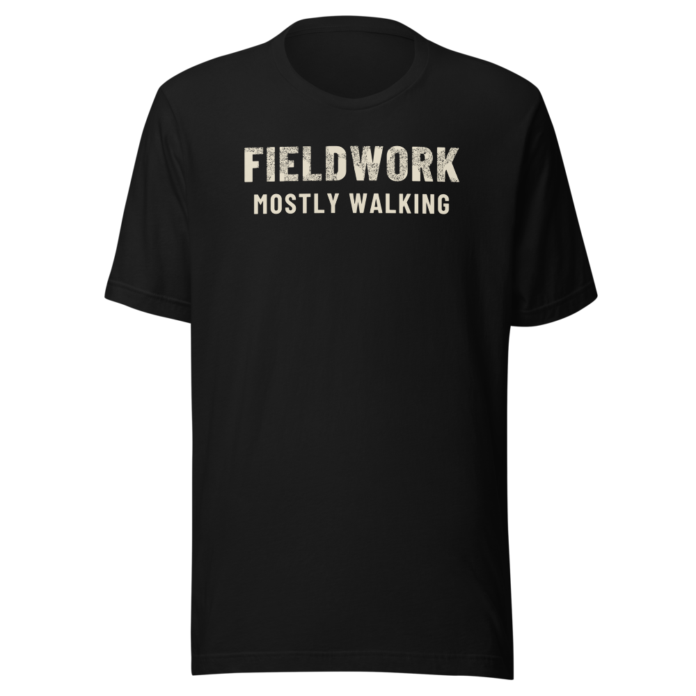 Fieldwork: Mostly Walking - Bella+Canvas 3001 Black front